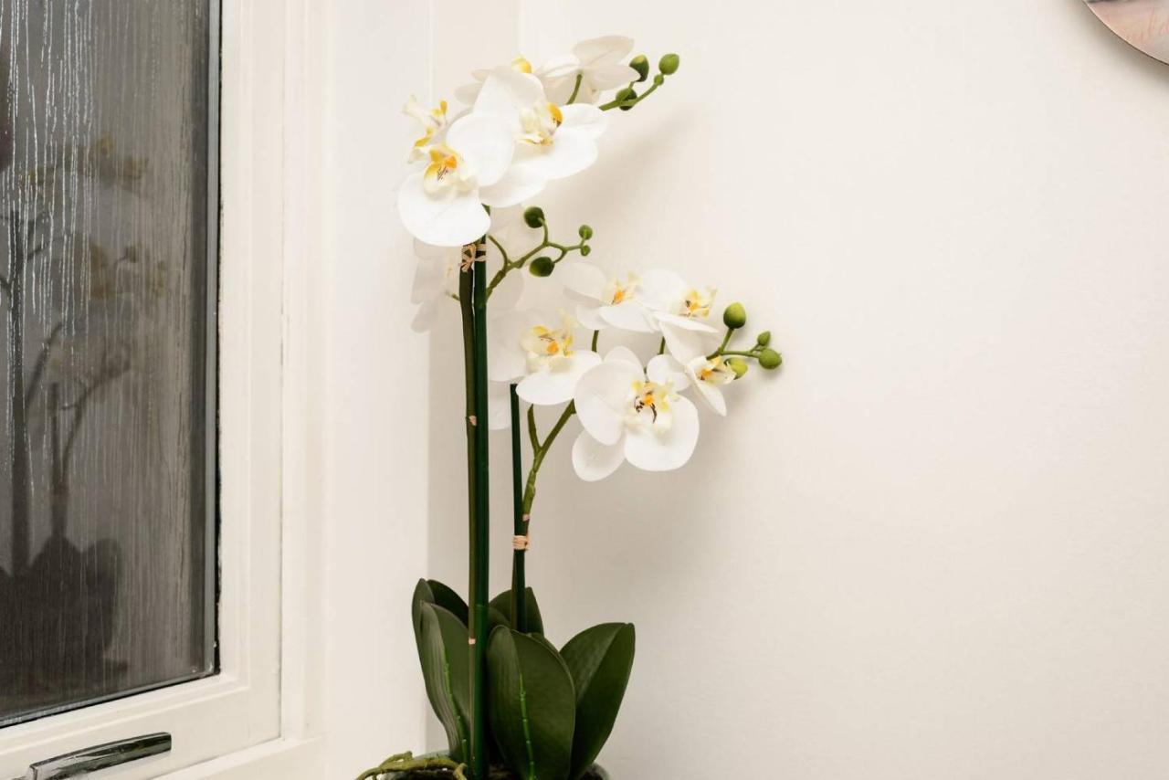 Altido Lovely Apartment For 4 With Free Parking Edinburgh Buitenkant foto